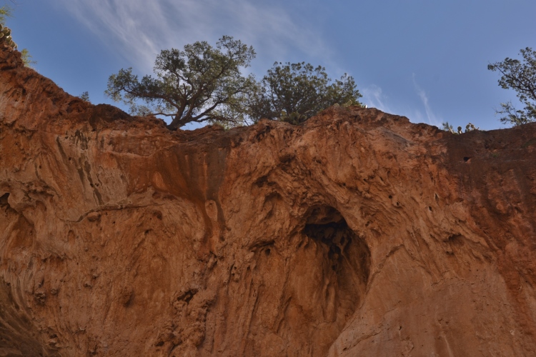 tonto bridge